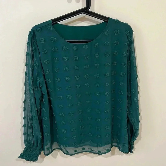 (5) NWOT Swiss dot sheer  long sleeve blouse - Picture 2 of 5